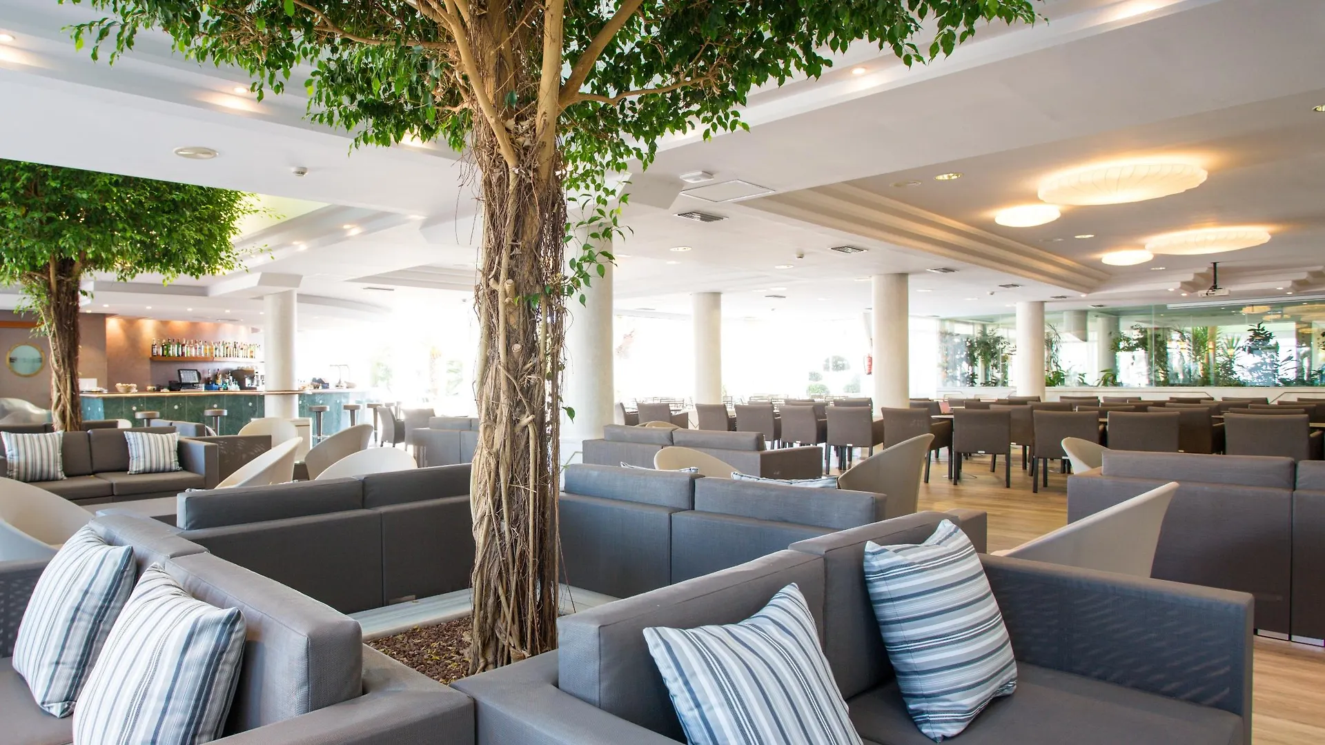 Insotel Hotel Formentera Playa Playa Migjorn 4*,  Spain